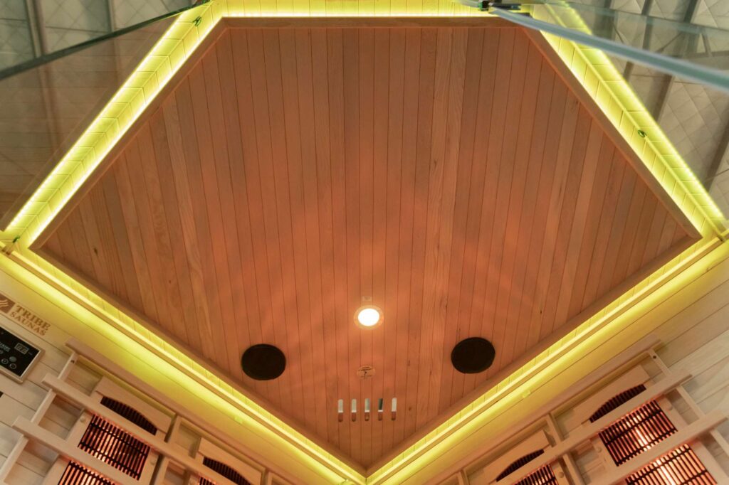 Athens 3 Corner Infrared Sauna Roof 01