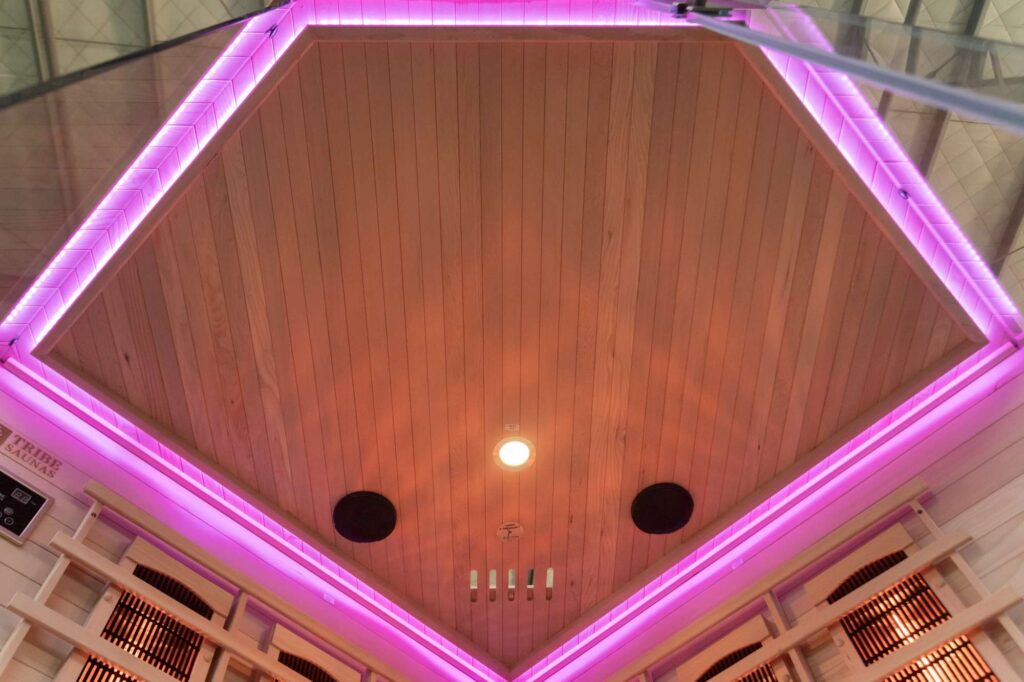 Athens 3 Corner Infrared Sauna Roof 06
