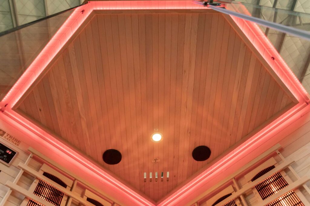 Athens 3 Corner Infrared Sauna Roof 07